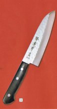 Photo4: SAKAI TAKAYUKI Aogami warikomi Blue2 steel hammered any type
