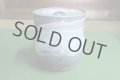 Kiyomizu Kyoto porcelain Japanese tea ceremony water jar Hakeme mizusashi