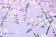 Photo3: Noren CSMO Japanese door curtain Weeping Sakura pink 85 x 150cm (3)