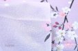 Photo5: Noren CSMO Japanese door curtain Weeping Sakura pink 85 x 150cm (5)