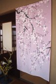 Photo1: Noren CSMO Japanese door curtain Weeping Sakura pink 85 x 150cm (1)