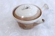 Photo1: Shigaraki pottery Japanese tea pot kyusu Usugesho pottery tea strainer 500ml (1)