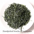 Photo1: Handpicked Sencha High class Japanese green tea in Tsuchiyama Shiga 100g (1)