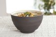 Photo2: Shigaraki pottery Japanese soup noodle serving bowl haruuta D135mm (2)