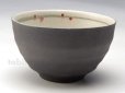Photo1: Shigaraki pottery Japanese soup noodle serving bowl haruuta D135mm (1)