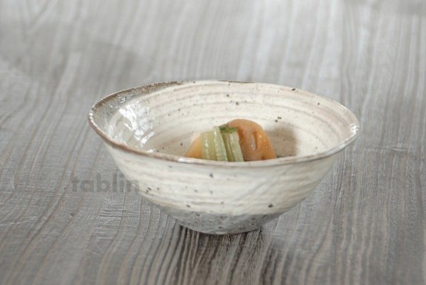 Photo3: Shigaraki pottery Japanese soup noodle serving bowl hakekoba D160mm