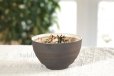 Photo3: Shigaraki pottery Japanese soup noodle serving bowl haruuta D135mm