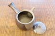 Photo2: Tokoname Japanese tea pot kyusu YT Yakishime butterfly Seiho 370ml (2)