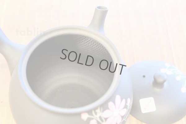 Photo3: Tokoname ware Japanese tea pot kyusu ceramic strainer YT Shoryu cosmos 300ml