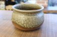 Photo1: Japanese pottery Kensui Bowl for Used tea leaves ceremony YT Tokoname irabo (1)
