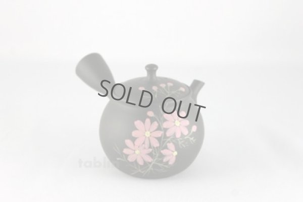 Photo4: Tokoname ware Japanese tea pot kyusu ceramic strainer YT Shoryu cosmos 300ml