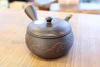 Tokoname YT ware Japanese tea pot Gyokko ceramic tea strainer yohen syudei 300ml