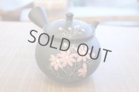 Tokoname ware Japanese tea pot kyusu ceramic strainer YT Shoryu cosmos 300ml