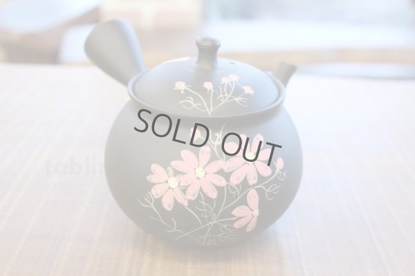 Photo1: Tokoname ware Japanese tea pot kyusu ceramic strainer YT Shoryu cosmos 300ml