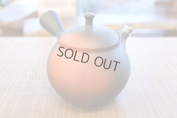 Photo11: Tokoname Japanese tea pot kyusu YT black yohen Shoryu 390ml