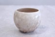 Photo4: Kiyomizu Kyoto porcelain Hana-crystal Toua Japanese tea cup (set of 5) (4)