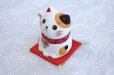 Photo3: Japanese Lucky Cat Tokoname yaki ware Porcelain Maneki Neko fukuoide 3.5inch (3)