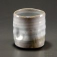 Photo1: Hagi Senryuzan climbing kiln Japanese pottery tumbler shochu ichi set of 2 (1)