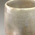 Photo4: Hagi Senryuzan climbing kiln Japanese pottery tumbler yohen ekubo set of 2