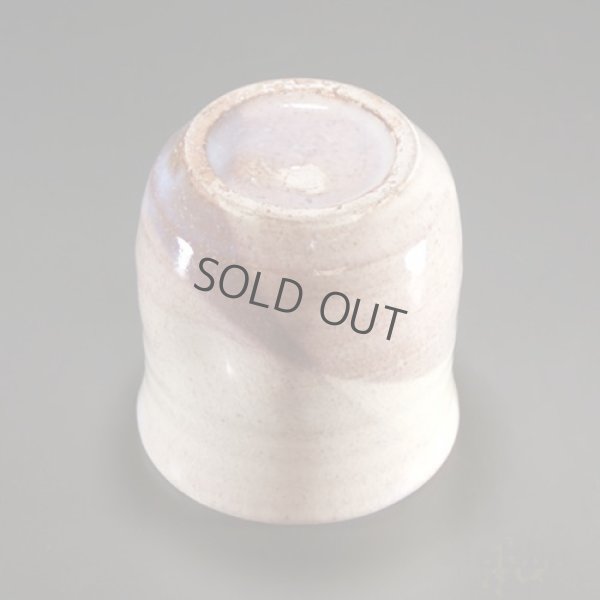 Photo4: Hagi Senryuzan climbing kiln Japanese pottery tumbler shochu kakebu san set of 2