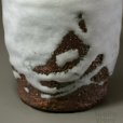 Photo4: Hagi Senryuzan climbing kiln Japanese pottery tumbler white nagashi go