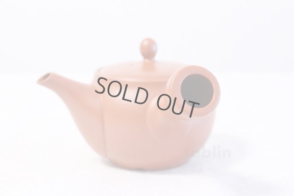 Photo5: Tokoname yaki ware Japanese tea pot morimasa red syudei ceramic tea strainer 360ml