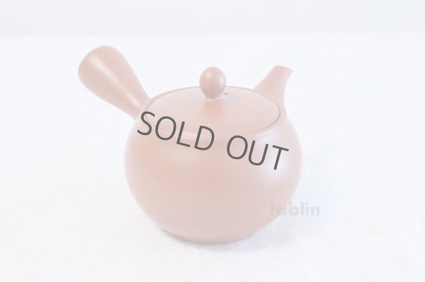 Photo3: Tokoname yaki ware Japanese tea pot morimasa red syudei ceramic tea strainer 360ml