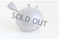 Tokoname ware Japanese tea pot kyusu ceramic strainer YT Hokuryu nota 580ml