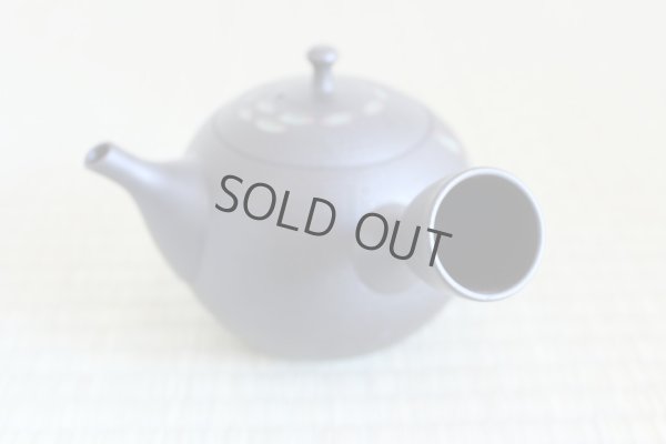 Photo4: Tokoname ware Japanese tea pot kyusu ceramic strainer YT Hokuryu nota 580ml