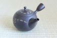 Photo3: Tokoname ware Japanese tea pot kyusu ceramic strainer YT Hokuryu nota 580ml (3)