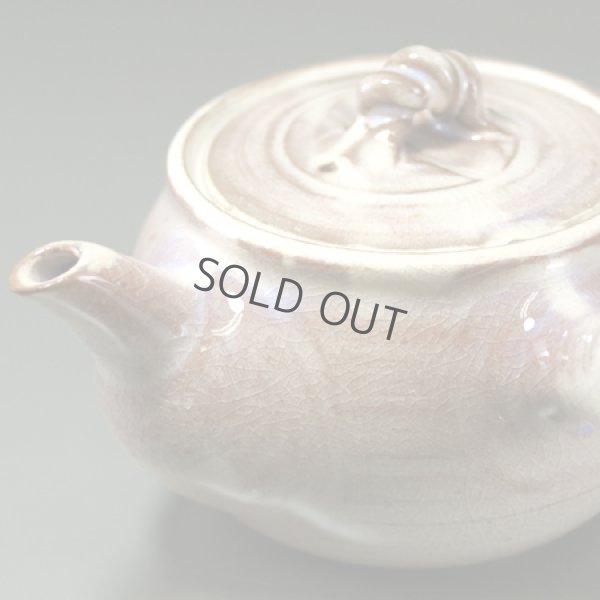 Photo3: Hagi ware Senryuzan climbing kiln Japanese tea pot kyusu hinerite 360ml