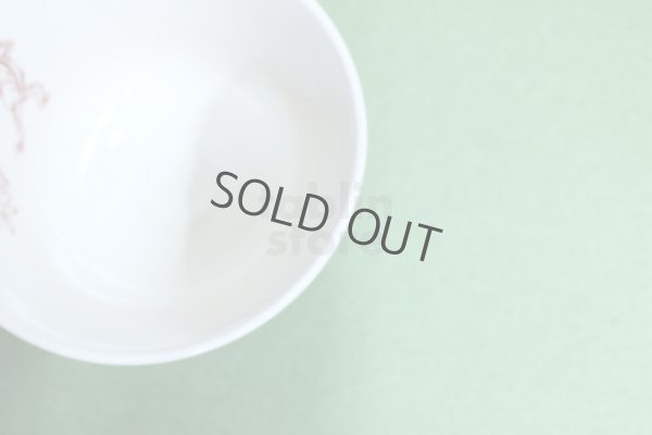 Photo3: Kiyomizu porcelain Hiroshi Japanese matcha tea bowl chawan rabbit inside pics 