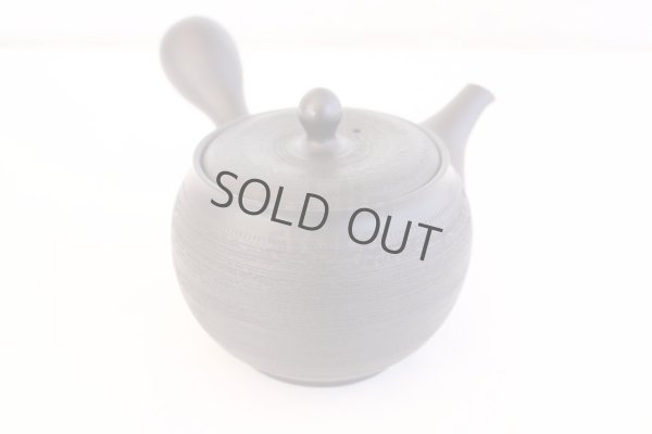 Photo3: Tokoname yaki ware Japanese tea pot Shujyu sen ceramic tea strainer 280ml