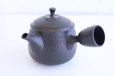 Photo1: Tokoname ware Japanese tea pot kyusu ceramic strainer YT Hokuryu biridashi 360ml (1)