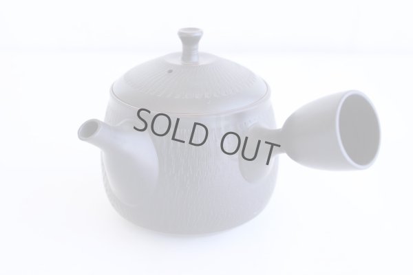 Photo1: Tokoname ware Japanese tea pot kyusu ceramic strainer YT Hokuryu biridashi 360ml