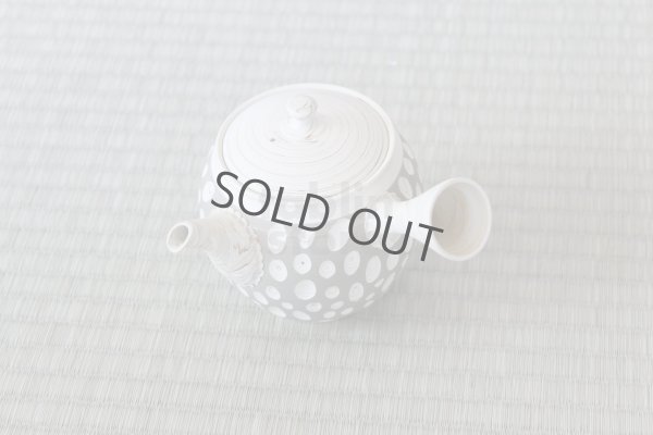 Photo9: Tokoname ware Japanese tea pot kyusu ceramic strainer YT Kenji usumidori 360ml