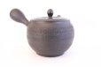 Photo5: Tokoname yaki ware Japanese tea pot Shujyu sen ceramic tea strainer 280ml