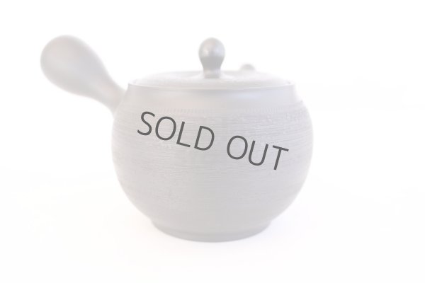 Photo5: Tokoname yaki ware Japanese tea pot Shujyu sen ceramic tea strainer 280ml