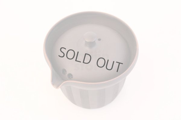 Photo5: Tokoname yaki ware Japanese tea pot Sekiryu cover ceramic tea strainer 170ml