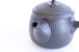Photo4: Tokoname ware Japanese tea pot kyusu ceramic strainer YT Hokuryu biridashi 360ml