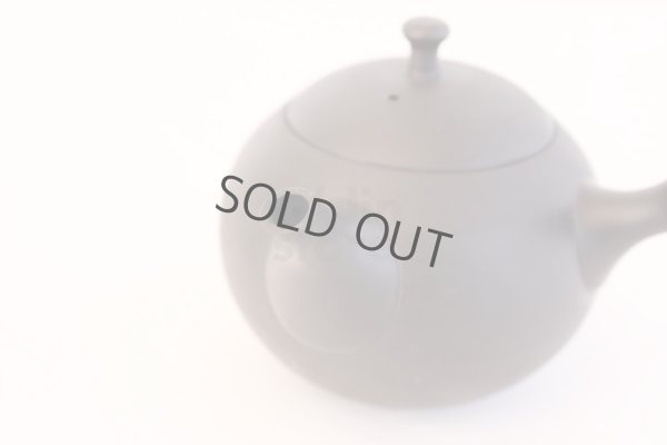 Photo4: Tokoname Japanese tea pot kyusu ceramic strainer Hokuryu round black 300ml