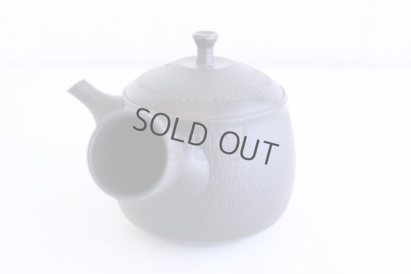 Photo2: Tokoname ware Japanese tea pot kyusu ceramic strainer YT Hokuryu biridashi 360ml