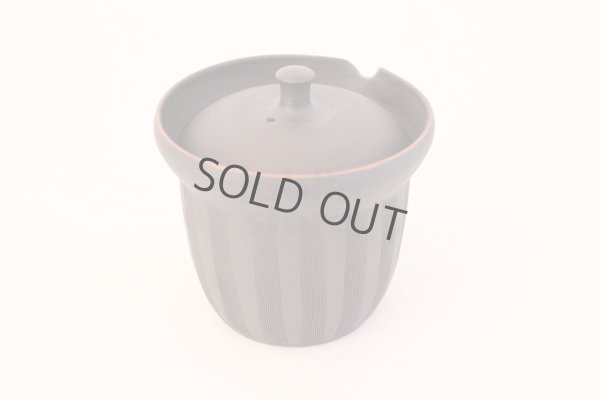 Photo3: Tokoname yaki ware Japanese tea pot Sekiryu cover ceramic tea strainer 170ml