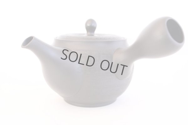 Photo4: Tokoname yaki ware Japanese tea pot Shujyu sen ceramic tea strainer 280ml