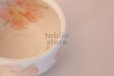 Photo6: Tokoname ware Japanese tea bowl Tairin chawan Matcha Green Tea