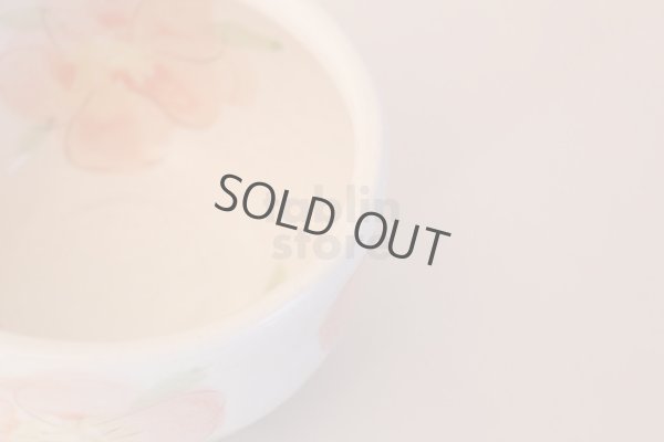 Photo6: Tokoname ware Japanese tea bowl Tairin chawan Matcha Green Tea