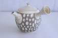 Photo1: Tokoname ware Japanese tea pot kyusu ceramic strainer YT Kenji usumidori 360ml (1)