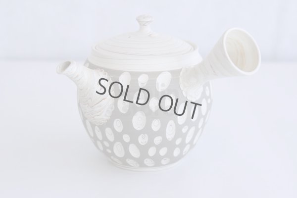 Photo1: Tokoname ware Japanese tea pot kyusu ceramic strainer YT Kenji usumidori 360ml