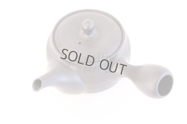 Photo6: Tokoname yaki ware Japanese tea pot Shujyu sen ceramic tea strainer 280ml