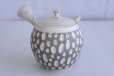 Photo3: Tokoname ware Japanese tea pot kyusu ceramic strainer YT Kenji usumidori 360ml